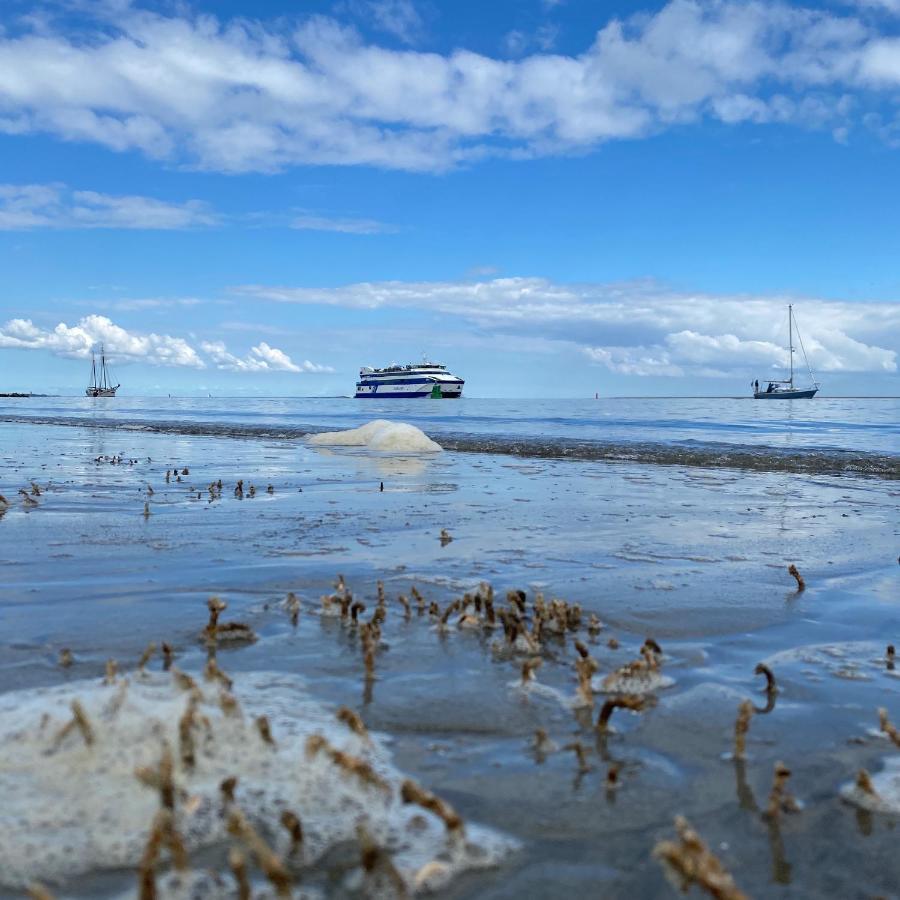 Donia Huys Otel Vlieland Dış mekan fotoğraf
