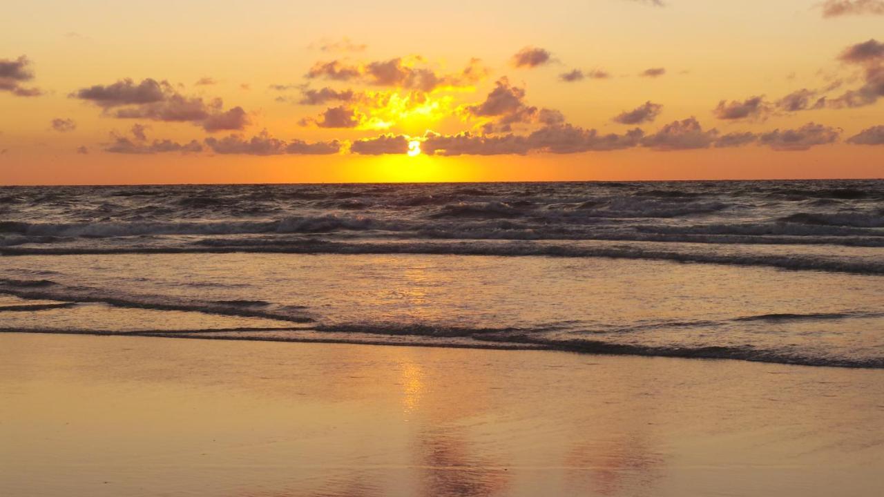 Donia Huys Otel Vlieland Dış mekan fotoğraf