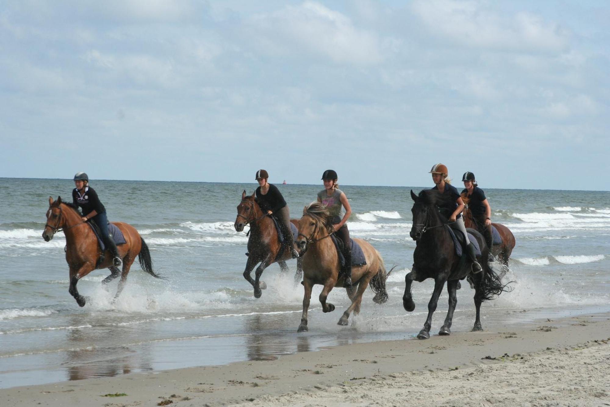 Donia Huys Otel Vlieland Dış mekan fotoğraf